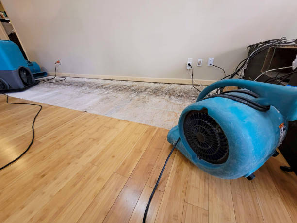 Professional Flood Damage Cleanup technician working in Three Lakes, WI